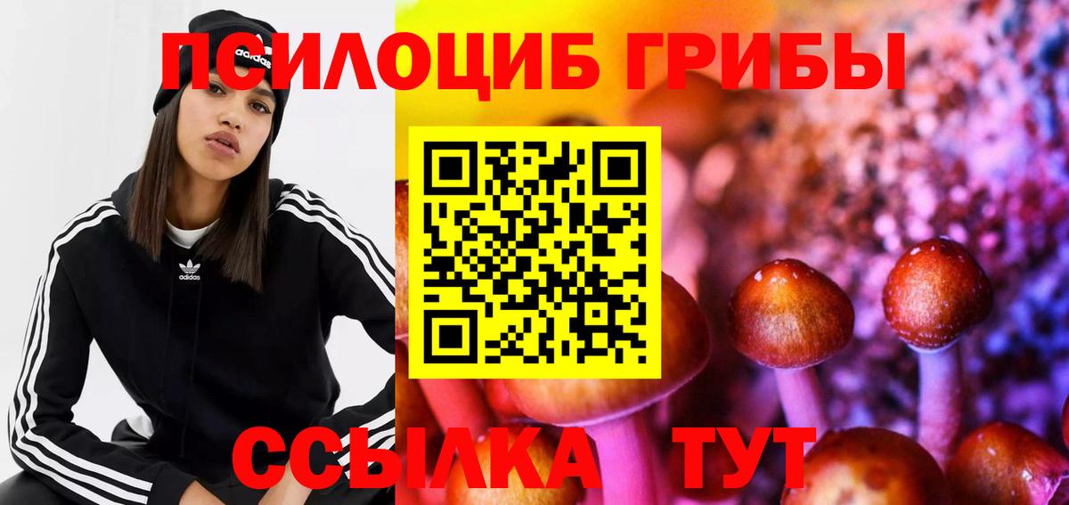 Галлюциногенные грибы Psilocybine cubensis  продажа наркотиков  Кстово  Вход с VPN 